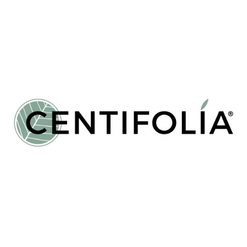 Centifolia