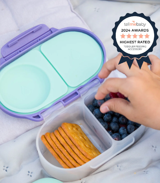 Snackbox BBox - Lilac