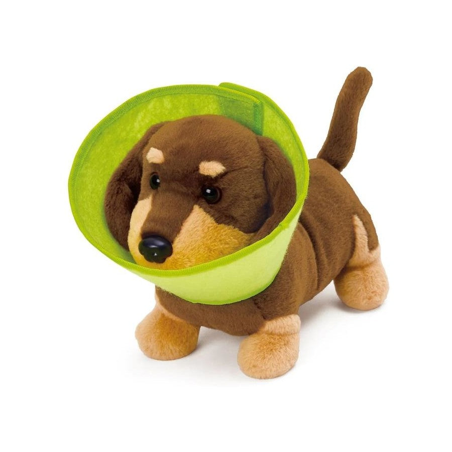 HAPE - Puppy Care Clinic Vet Set