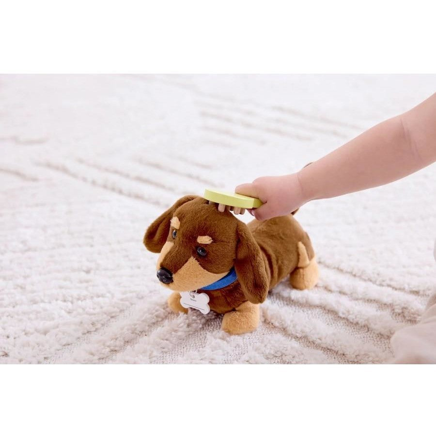 HAPE - Puppy Care Clinic Vet Set