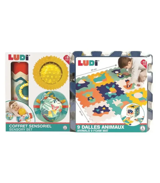 Ludi Coffret Sensoriel - Tapis Dalles Animaux avec Rouleau & Balles