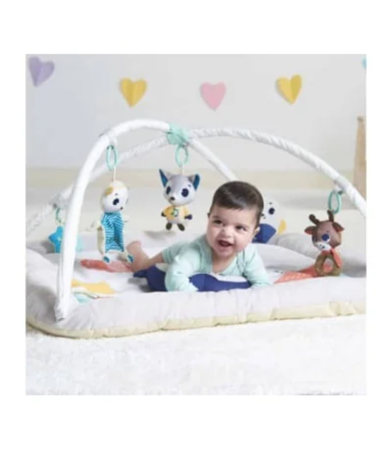 Tapis Plush Gymini Ultra Confort Collection Polaire Tiny Love