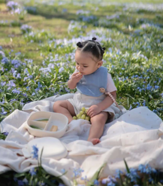 Bavoir en mousseline, Lot de 2 - Tradewinds/Bleu bébé