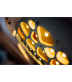 Lampe Turtle Galapagos Sage - Little Lights