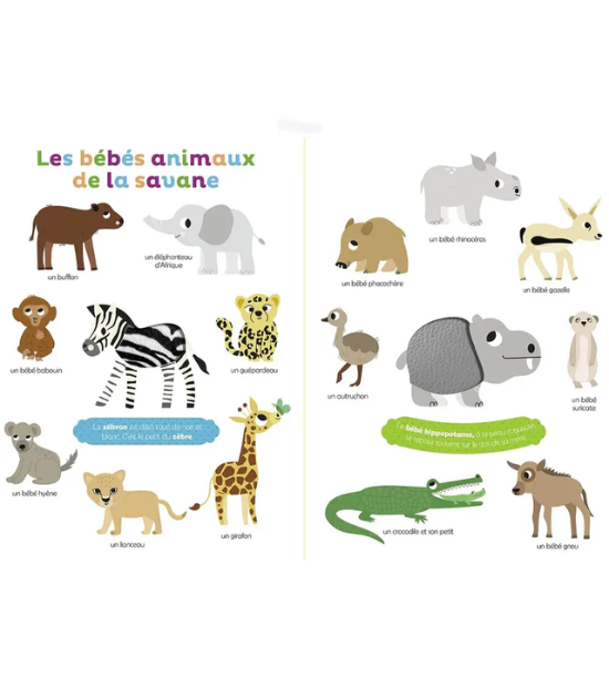 Mes Premiers Bébés Animaux À Toucher
