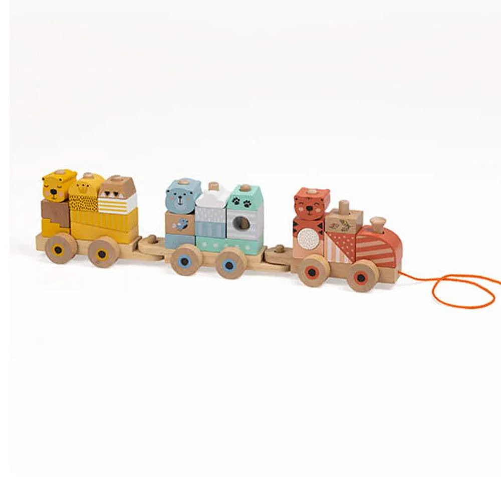 Eurekakids - Train Blocs en Bois Jungle 18M+