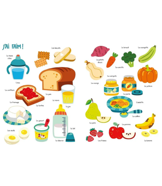 Le Grand Livre de mes... 1 an