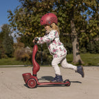 Trottinette 2-1 Highwaykick 1 Wildcat