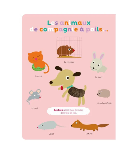 Mes Premiers Mots À Toucher