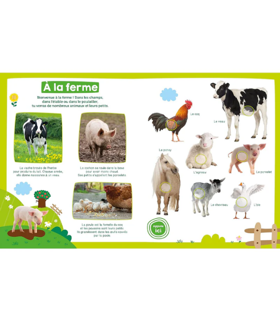 Mon Imagier Sonore - Les Animaux