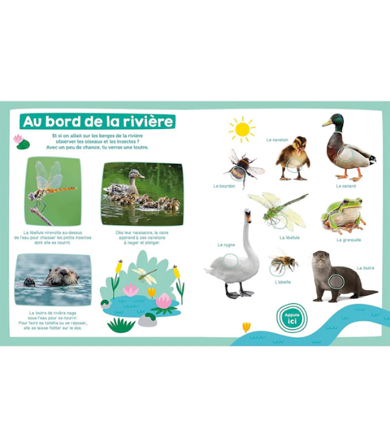 Mon Imagier Sonore - Les Animaux