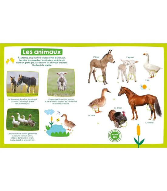 Mon Imagier Sonore - La Ferme