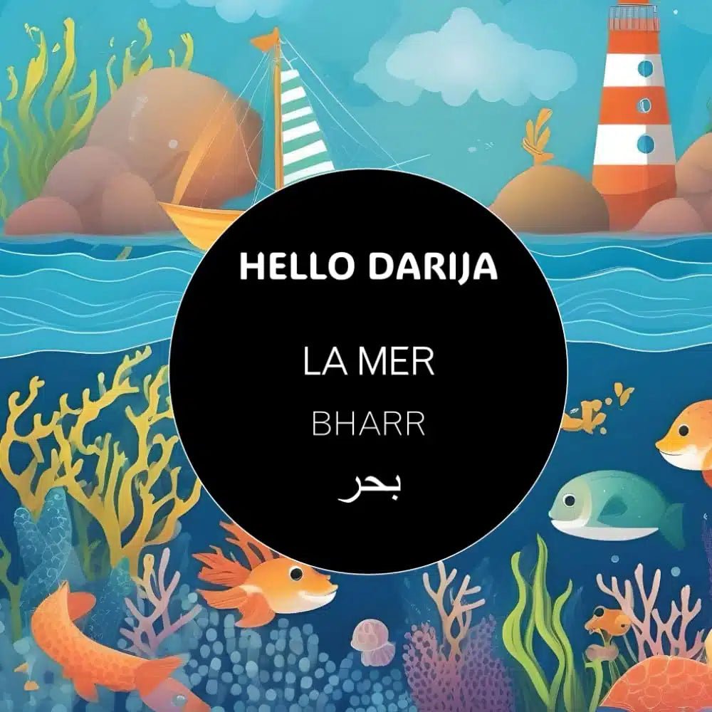 Hello Darija La mer – BHARR