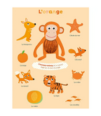 Mes Premières Couleurs À Toucher