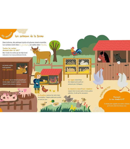 Le Livre de Découvertes de mes... 4 ans