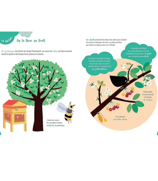 Le Livre de Découvertes de mes... 4 ans