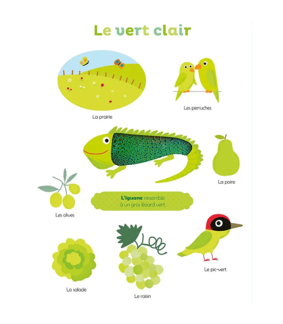 Mes Premières Couleurs À Toucher