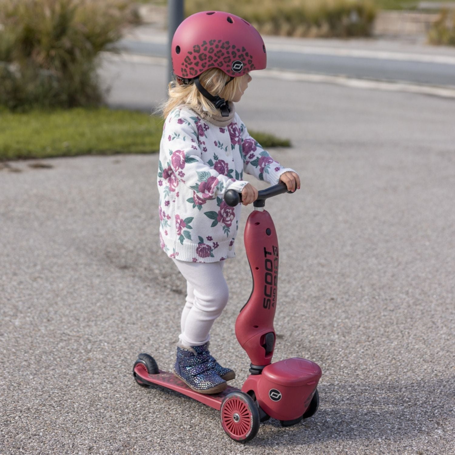 Trottinette 2-1 Highwaykick 1 Wildcat