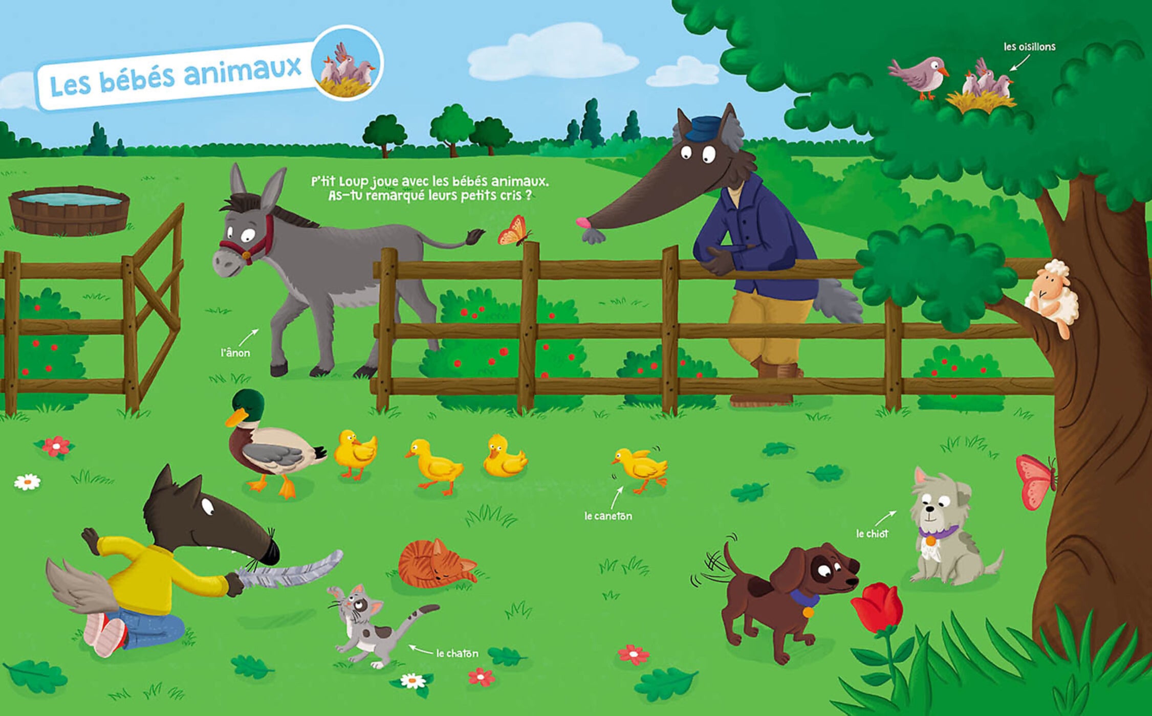P'tit Loup Mon Livre Sonore - Les Animaux