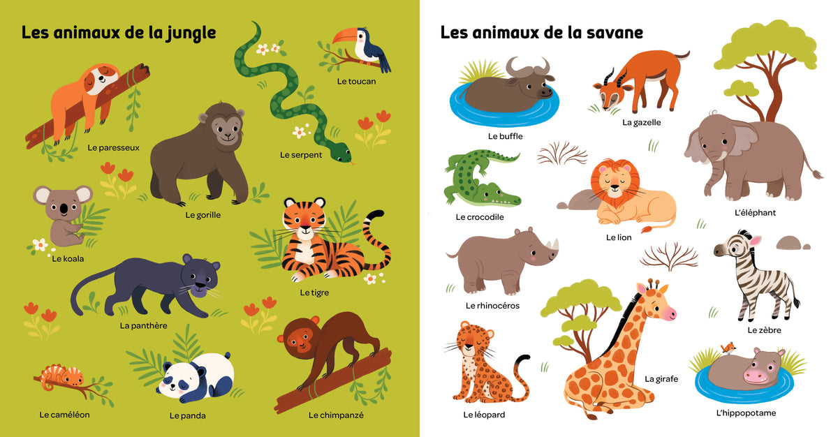 MES 100 MOTS POUR DÉCOUVRIR LES ANIMAUX