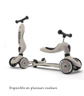 TROTTINETTE HIGHWAYKICK 1