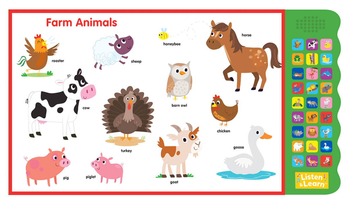 Apprenons-en plus sur les animaux