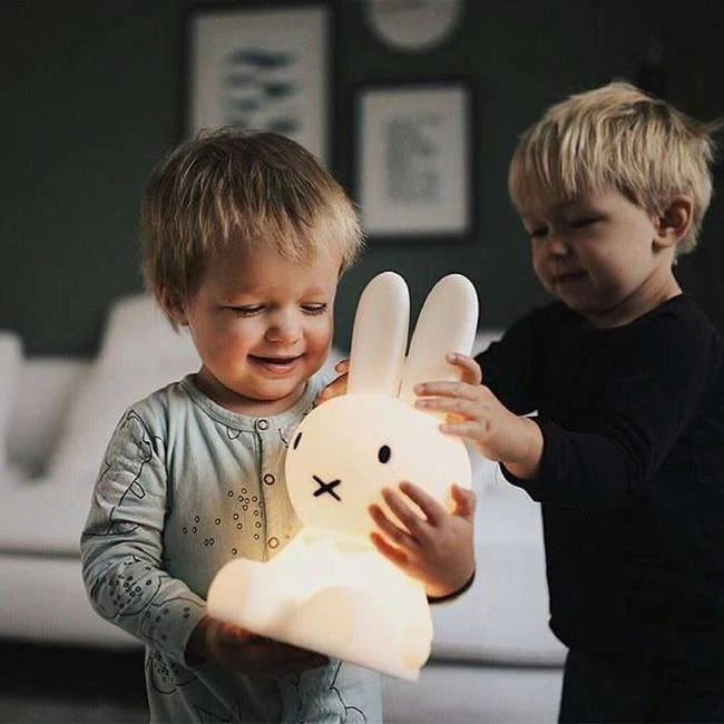 MIFFY FIRST LIGHT – MR MARIA