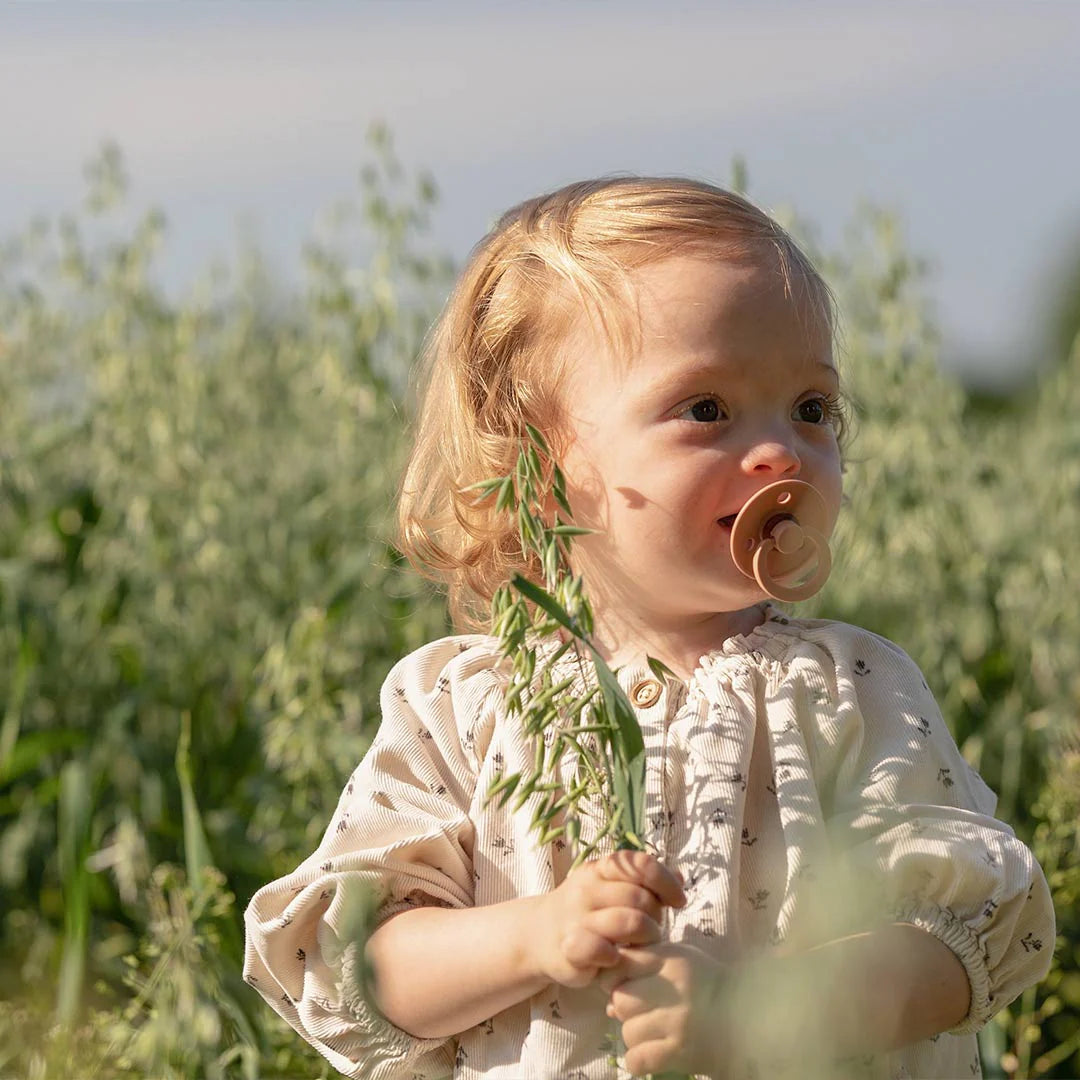 Sucette symétrique BIBS Colour - Lot de 2 - Ivoire/Sauge - Latex