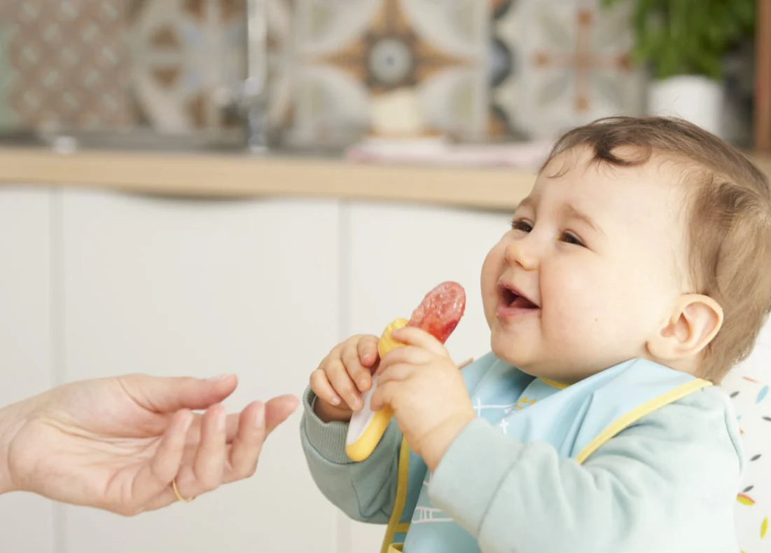 Grignoteuse - Badabulle