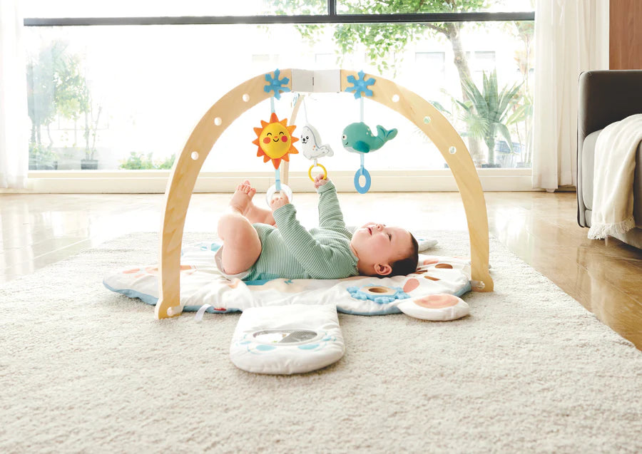 HAPE - Snuggle Bear Activity Gym
