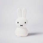 Miffy Shines – Mr Maria