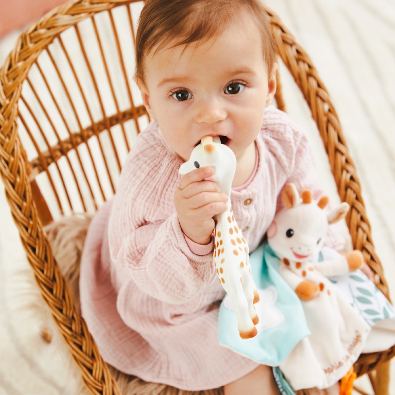 Sophie la girafe et son doudou